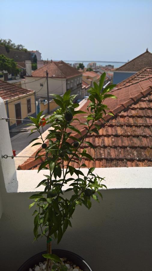 Willa Casa Do Viso Setúbal Zewnętrze zdjęcie